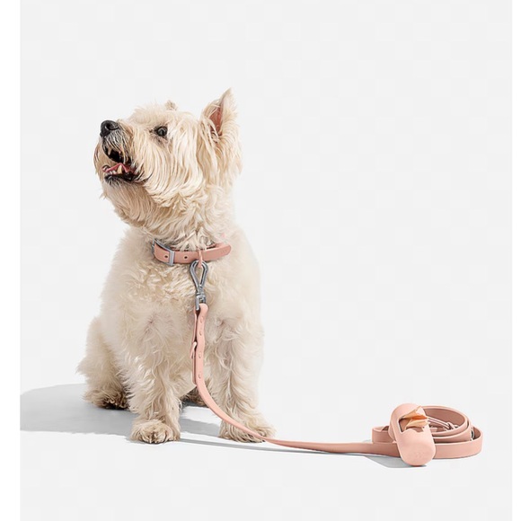 Wild One Collar in Blush
XS NEW 
$38 EXTRA SMALL  7”-10"  STRAP WIDTH 0.5” - Picture 2 of 16